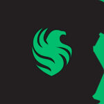 Team Falcons : une puissance montante sur Counter-Strike 2